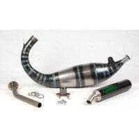 Jolly Moto Auspuff für Aprilia RS125 Corsa Carbon ESD
